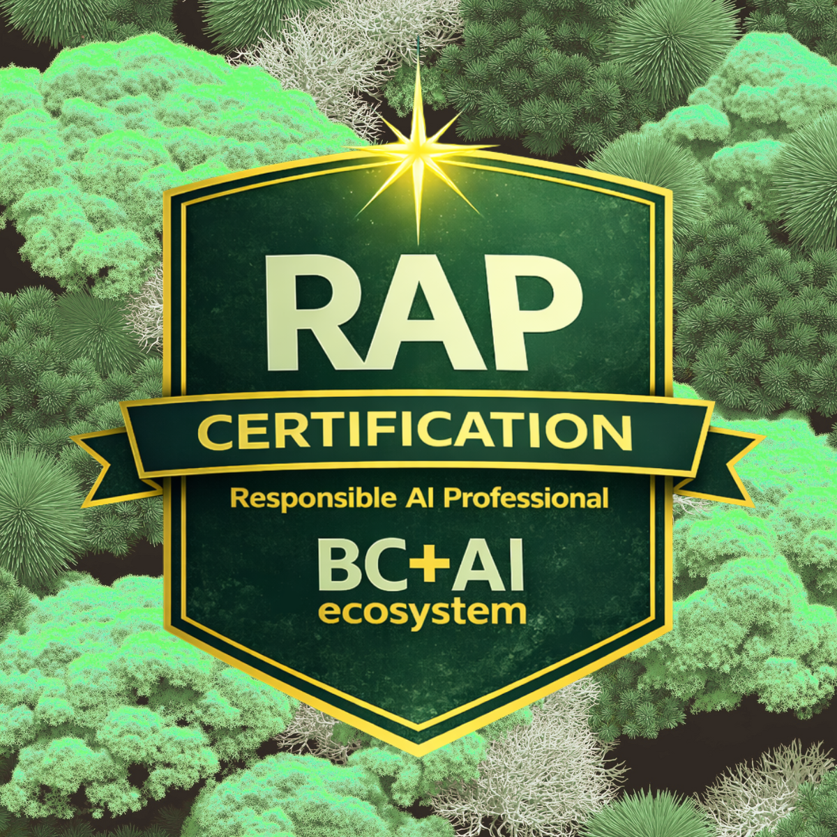 Responsible AI Professional Certification